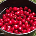 我使用 Git cherry-index_imgk 命令的 3 个理由