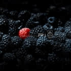 树莓派 3 还是 4：你应该买哪一个？