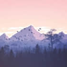 用 Flatseal 图形化管理 Flatpak 应用的权限