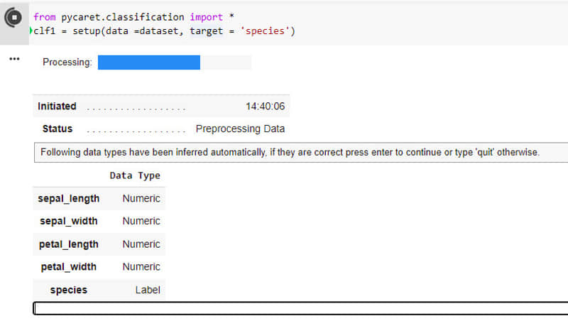 PyCaret environment setup