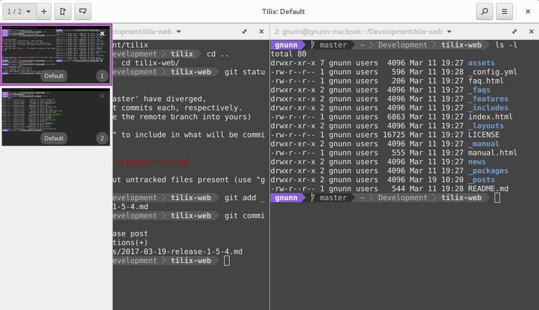 Tilix Terminal Window