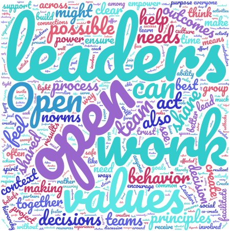 Open Leadership Definition word cloud