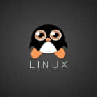 12 个对新手最重要的 Linux 命令