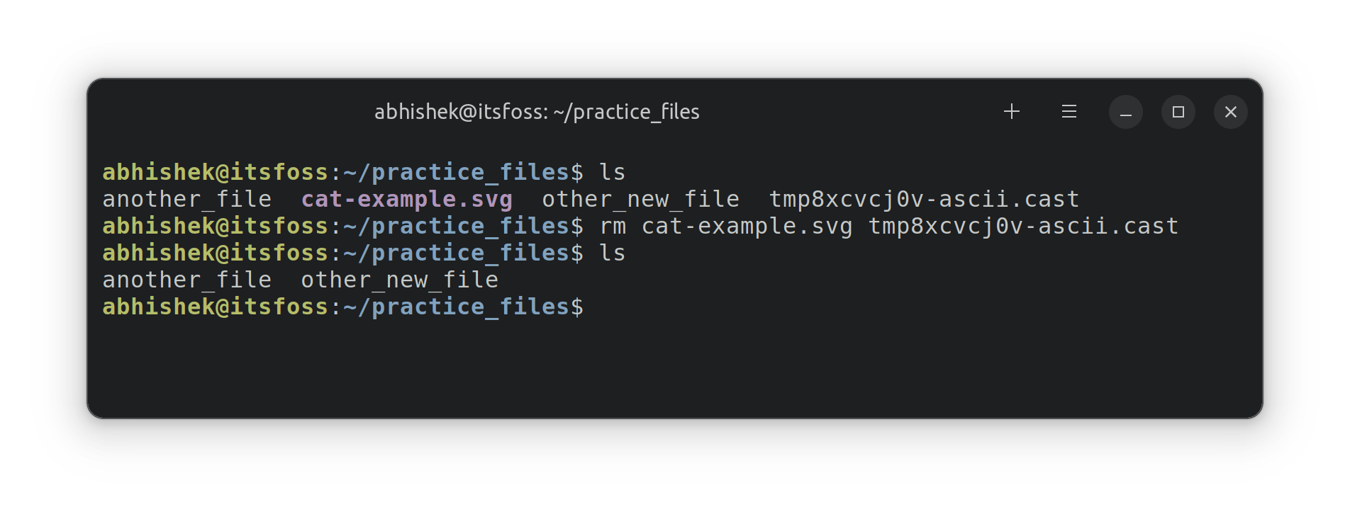 Deleting multiple files in single rm command