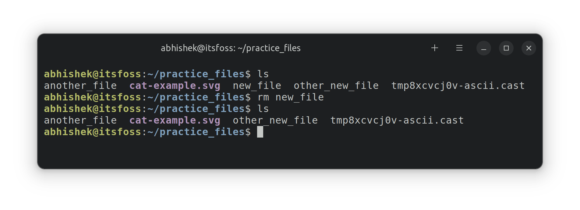 Removing files in Linux terminal